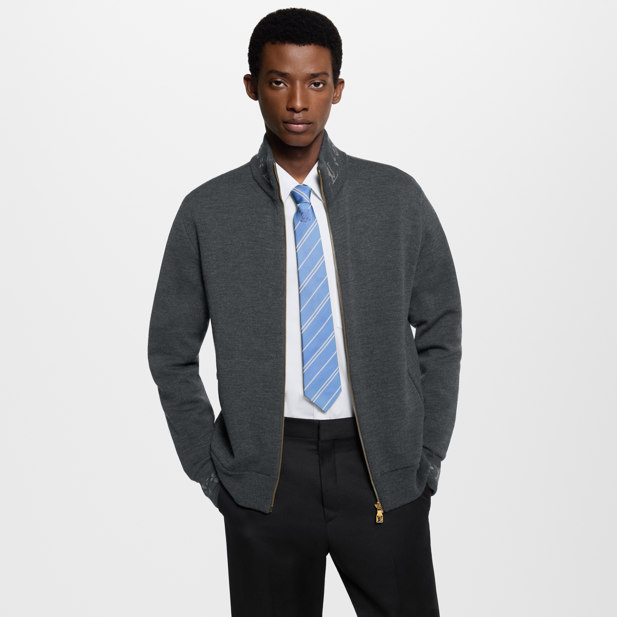 ネクタイ・エキュ ストライプ S00｜ルイ・ヴィトン 公式サイト - M96410